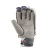 RSD Xtreme batting gloves (2) (1)