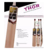 ew thor (2) (1)