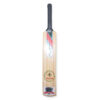 cricket bat tennis no 1 (1) (1)