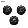 squash ball dunlop (1)