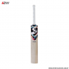 thunder striker EW (3)