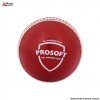 SG Prolite cricket ball