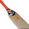 v blaze scoop bat