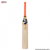 v blaze scoop bat (3)